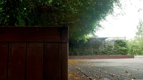 Quiet park: 스톡 동영상 80191065