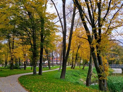 Quiet Park Path Along a Small Lake in an Autumn Park Stock Photos