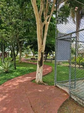 Quiet park path scene Stock Photos
