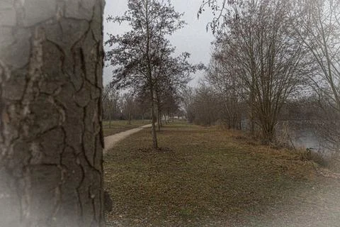 A quiet park path winds through bare trees and fallen leaves on a grey winter Stock Photos