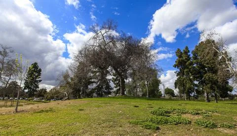 Quiet in the Park. Stock Photos