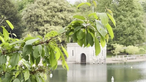 Quiet park pond viewing structure timelapse Vídeos de archivo 334759922