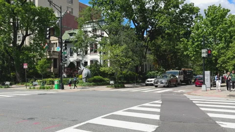 Quiet path through green urban sidewalk Stock Footage 323567207
