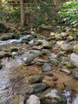 The Quiet Path of Water Stock Photos