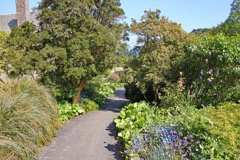A quiet pathway surrounded by trees and plants in an English country garden i Foto stock