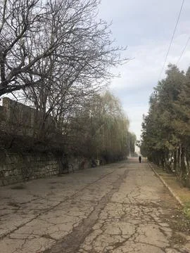 A quiet paved park walkway bordered by bare trees stone walls  Stock Photos