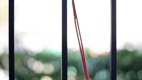 Quiet perspectives Stock Footage 99544338