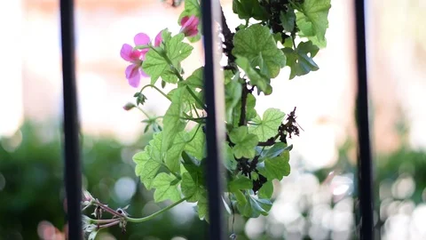 Quiet perspectives Stock Footage 99544370