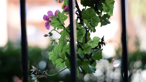 Quiet perspectives Stock Footage 99544373