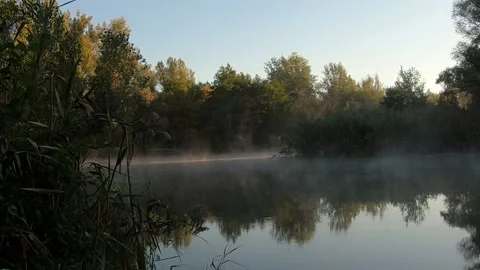 Quiet place on a small river. 스톡 동영상 139639468