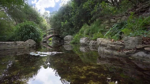 Quiet Pond With A Bridge Set Shot Reflection of Trees And Sky Off The Water Stock Footage 82429358