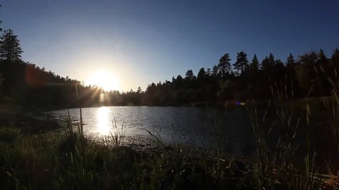 Quiet Pond Stock Footage 84785421