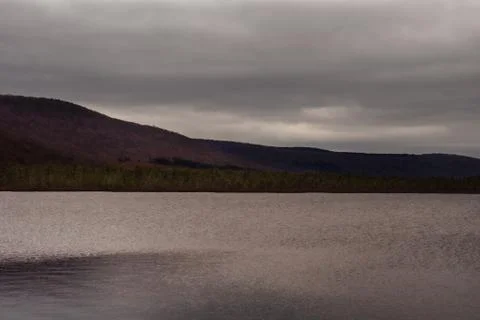 Quiet pond Stock Photos