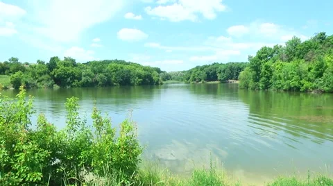 Quiet pond in summer day Stock Footage 61075701