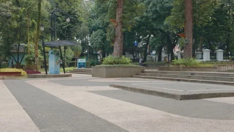 Quiet public park with stone pathways, steps, lush green trees, and flower beds  库存影片 343368084