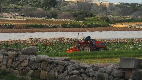 Quiet Red Tractor in Terraced Fields, Malta Valletta Stock Footage 340555829