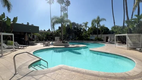 Quiet Resort Pool with Curved Edges and Palm Trees in Sun Stock Footage 345369855