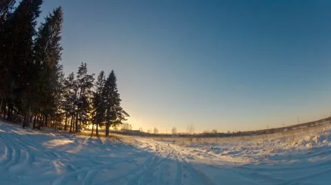 Quiet Ride on the Winter Road to Pine Trees at Sunset Stock Footage 61353423