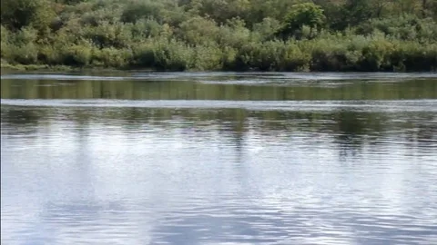 Quiet river and forest view Stock Footage 119012552