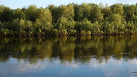 Quiet river and green trees Stock Footage 76761308