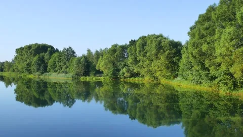 A quiet river bank in the forest 動画素材 168577706