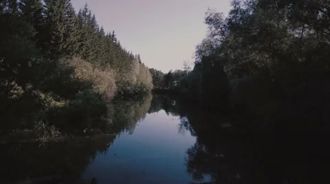 Quiet River Between Trees Video stock 54438272