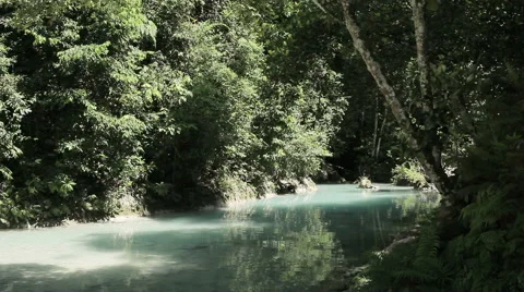 Quiet river flowing in the forest Stock Footage 49025064