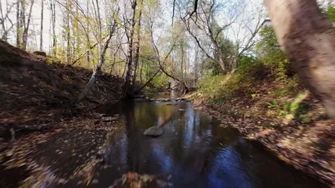 Quiet River Flowing Through Autumn Forest in Quebec Stock Footage 319453979