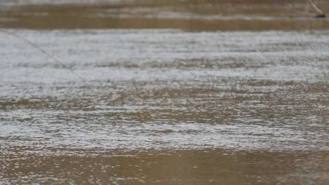 Quiet River Stock Footage 87599633