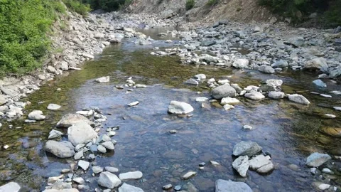 Quiet river Video stock 137293028