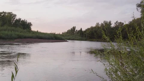 Quiet river Stock Footage 248463959