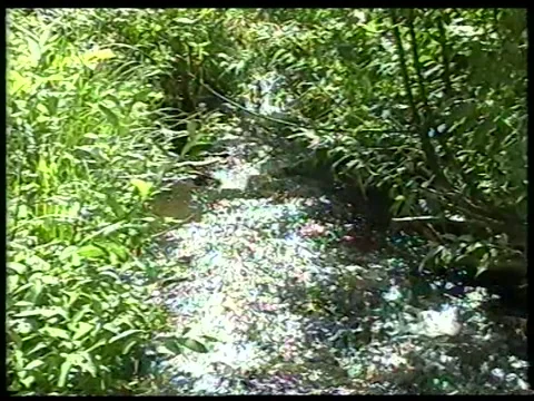 Quiet River Vídeos de archivo 340541653
