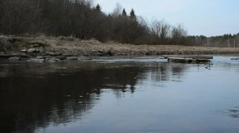 Quiet river in the forest Stock Footage 49724500