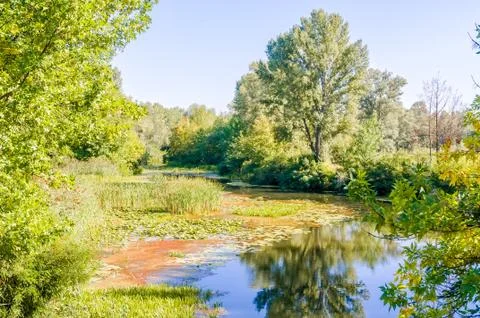 Quiet river in the park Stock-Fotos