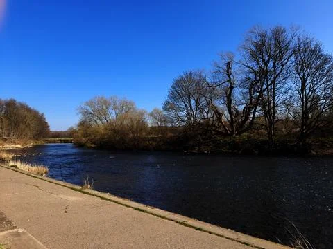 Quiet River Path with Bare Trees in Spring Stock Photos