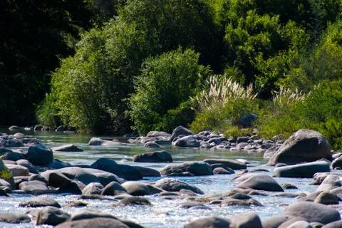 Quiet River Stock Photos