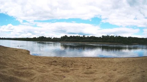 Quiet river sandy beach, trees on the opposite bank, outdoor, summer Stock Footage 77671672