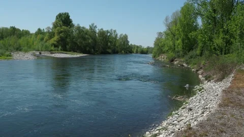 Quiet river scene in the middle of nature Stock Footage 152460854
