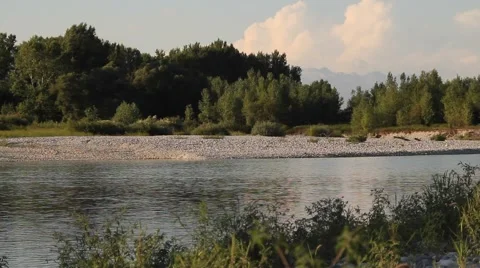 Quiet river in the summer with vegetation Video stock 47993232