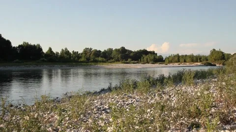 Quiet river in the summer with vegetation Stock Footage 47993284