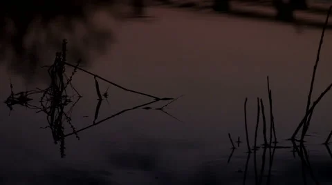 Quiet River at sunset. Stock Footage 61872227