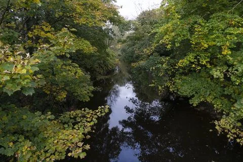 Quiet river winds through lush greenery Stock Photos