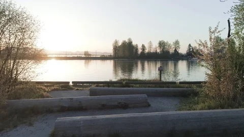 A Quiet Riverfront Park at Sunrise Stock Footage 89046853