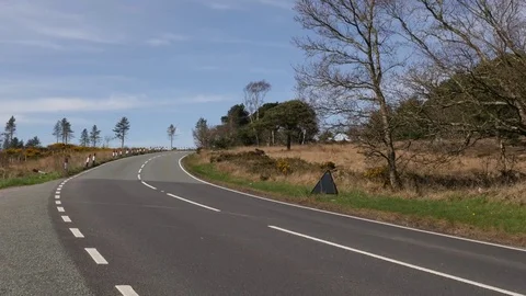 Quiet road besides trees and grass, no cars Stock-Footage 73835460