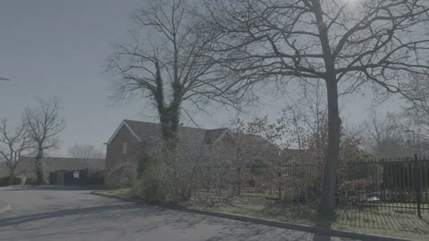 Quiet road with wintery, leafless tree branches Stock Footage 219322746