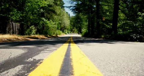 Quiet Road with Yellow Lines in a Forest Setting Видео 323905624