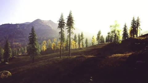 Quiet rolling hills accented by delicate shadows and golden light Stock Footage 340353454