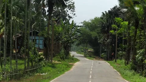 Quiet rural road surrounded by lush tropical village landscape Vídeos de archivo 337928304