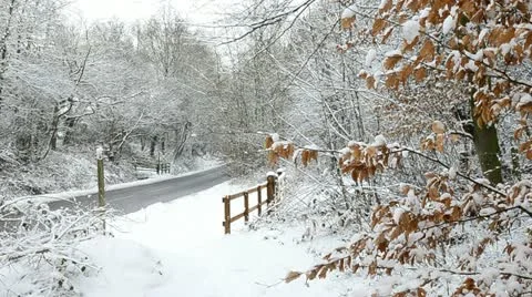 Quiet rural road in winter Stock Footage 10833207