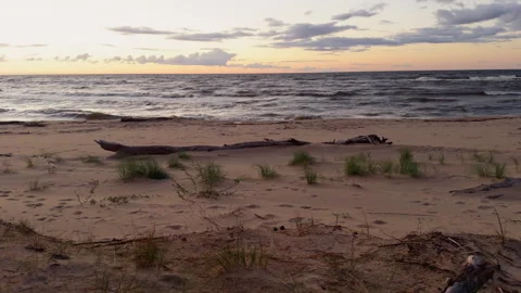 Quiet sandy beach with driftwood, gentle waves and pastel sunset sky over calm Stock Footage 346558696